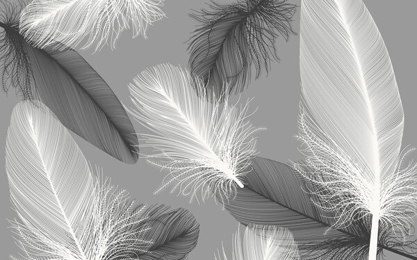 Carta da parati Delicate piume in una morbida monocromia, Carta da parati 3d, Carta da parati popolare, u04919 - Tapeko.it