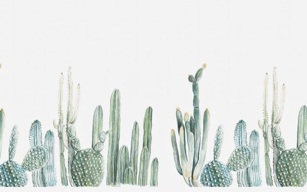 Carta da parati Gruppo di cactus su sfondo bianco, Carta da parati Natura, Carta da parati popolare, u07240 - Tapeko.it