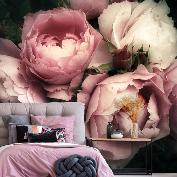 Carta da parati Delicate peonie rosa, Carta da parati Floreale, Carta da parati Rose, u08062 : Uwalls.it