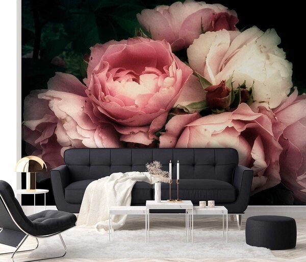 Carta da parati Delicate peonie rosa, Carta da parati Floreale, Carta da parati Rose, u08062 : Uwalls.it