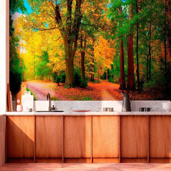Carta da parati Inizio autunno, Carta da parati Foresta, u08547 : Uwalls.it