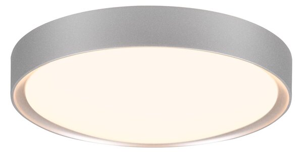Plafoniera da Interno a LED in Plastica Titanio