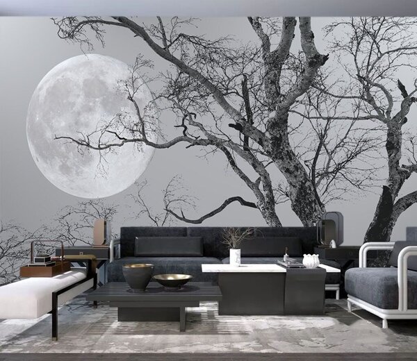 Carta da parati Cielo, luna e mondo, Carta da parati Natura, u19208 : Uwalls.it
