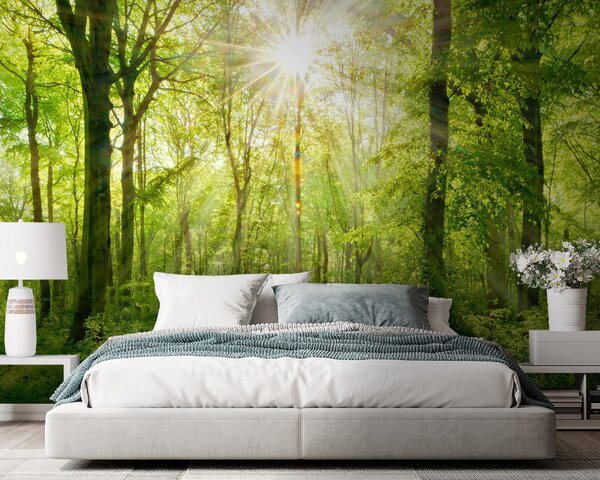 Carta da parati Percorso nella foresta soleggiata, Carta da parati Natura, u22252 : Uwalls.it