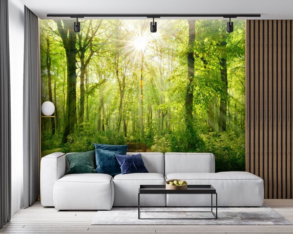 Carta da parati Percorso nella foresta soleggiata, Carta da parati Natura, u22252 : Uwalls.it