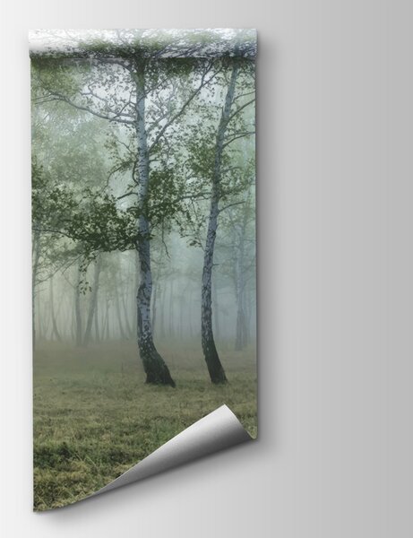 Carta da parati Foresta nebbiosa con alberi, Carta da parati design, Carta da parati popolare, u25820 - Tapeko.it