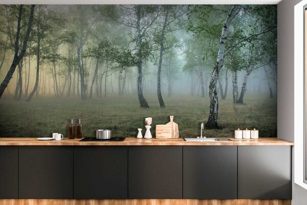 Carta da parati Nebbia foresta di betulle, Carta da parati Foresta, Carta da parati Foresta Betulle, u25820 : Uwalls.it