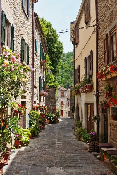 Carta da parati Strada stretta con fiori e piante ai lati, Carta da parati Natura, Carta da parati popolare, u32788 - Tapeko.it
