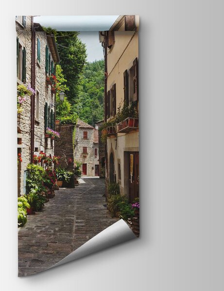 Carta da parati Strada stretta con fiori e piante ai lati, Carta da parati Natura, Carta da parati popolare, u32788 - Tapeko.it