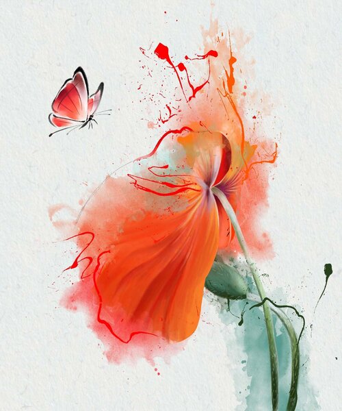 Carta da parati Farfalla su un fiore, Carta da parati 3d, Carta da parati popolare, u34147 - Tapeko.it