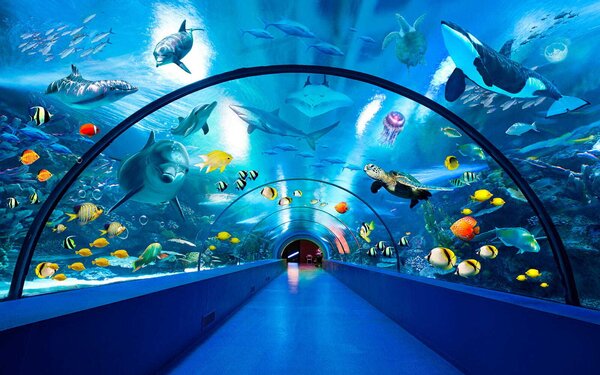 Carta da parati Tunnel con pesci e animali, Carta da parati 3d fiori, Carta da parati popolare, u34490 - Tapeko.it