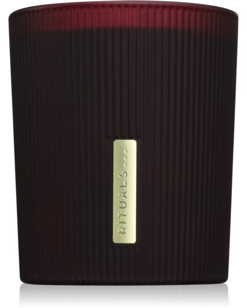 RITUALS The Ritual Of Ayurveda candela profumata 290 g