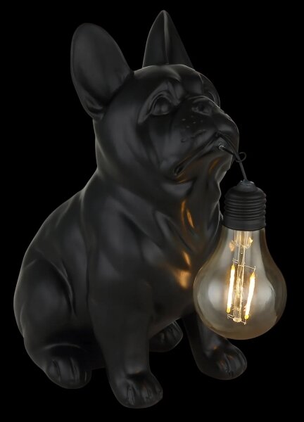 Globo 36333S - Lampada solare a LED LED/0,06W/3V IP44 cane nero