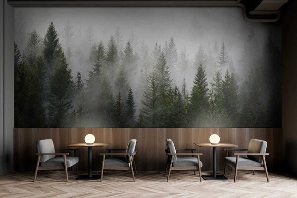 Carta da parati Gruppo di alberi nella nebbia, Carta da parati Foresta, Carta da parati popolare, u37073 - Tapeko.it