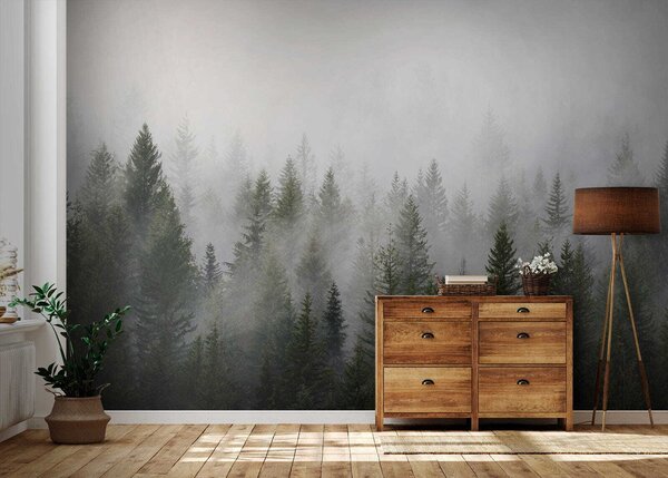 Carta da parati Gruppo di alberi nella nebbia, Carta da parati Foresta, Carta da parati popolare, u37073 - Tapeko.it
