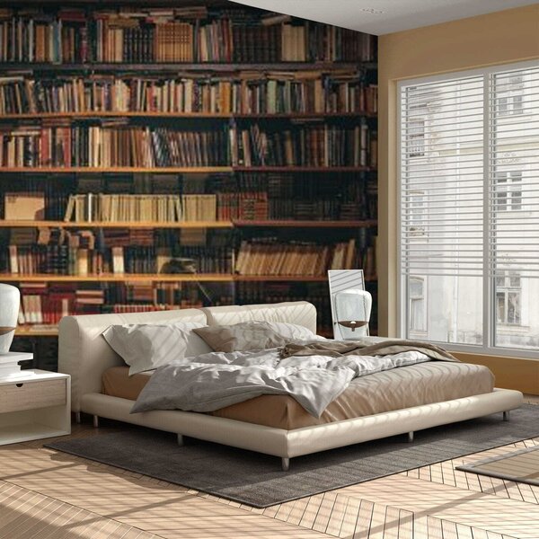 Carta da parati Una grande biblioteca, Carta da parati che aumenta lo spazio, u40004 : Uwalls.it