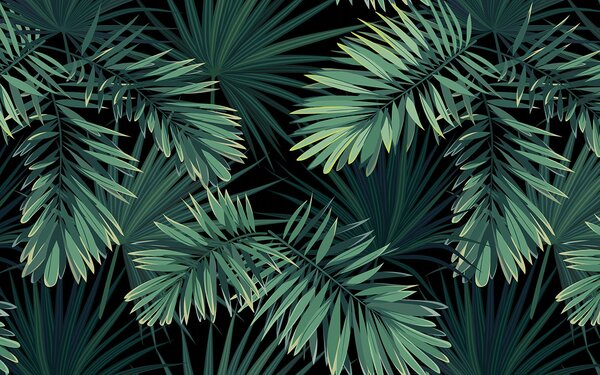 Carta da parati Foglie tropicali su sfondo scuro, Carta da parati 3d, Carta da parati popolare, u43269 - Tapeko.it