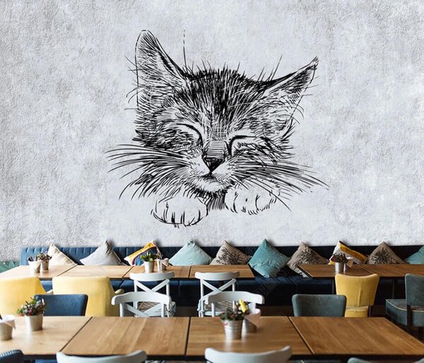 Carta da parati Gatto, felino dai carnivori, Carta da parati Animali, u43536 : Uwalls.it