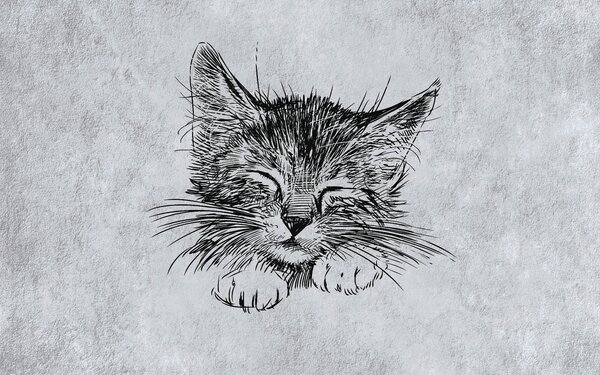 Carta da parati Disegno di un gatto, Carta da parati design, Carta da parati popolare, u43536 - Tapeko.it