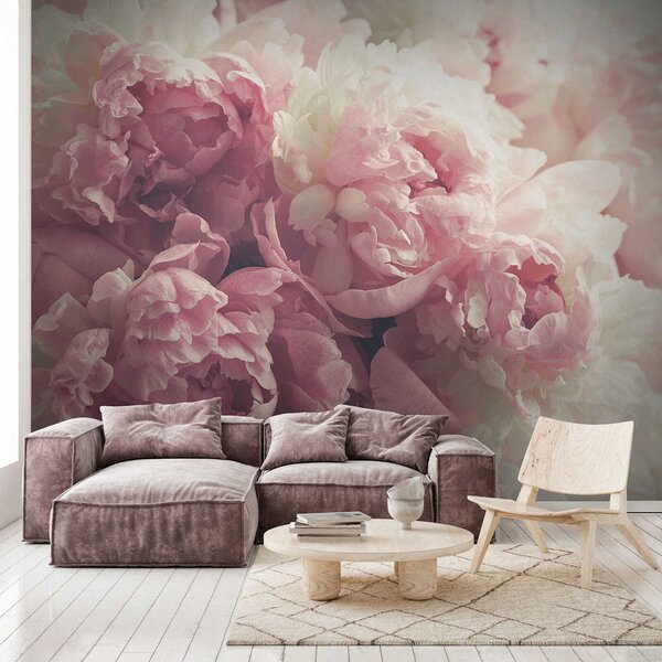 Carta da parati Peonie delicate, Carta da parati Floreale, u44746 : Uwalls.it