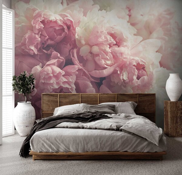 Carta da parati Peonie delicate, Carta da parati Floreale, u44746 : Uwalls.it