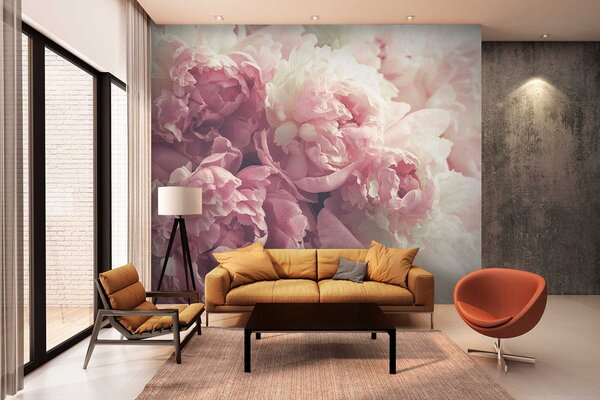 Carta da parati Peonie delicate, Carta da parati Floreale, u44746 : Uwalls.it
