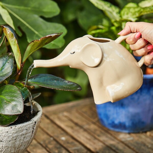 Annaffiatoio in ceramica Elephant – Sass & Belle