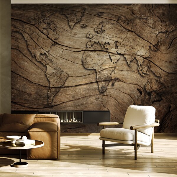 Carta da parati Mappa del mondo su un pezzo di legno, Carta da parati mappe del mondo, Carta da parati popolare, u53146 - Tapeko.it