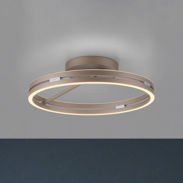PURE Plafoniera a LED Loop, dimmerabile, Bronzo / Ottone antico, Soggiorno / Sala da pranzo, Alluminio, Moderno, Plafoniera LED