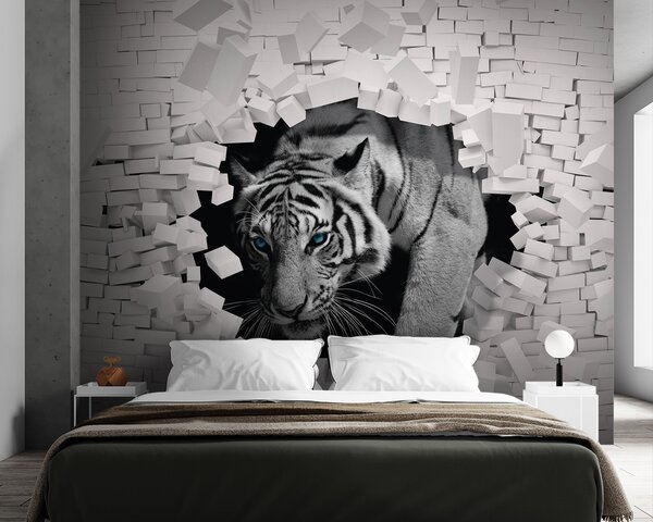 Carta da parati Capelli, testa e fotografia, Carta da parati 3D, u53521 : Uwalls.it