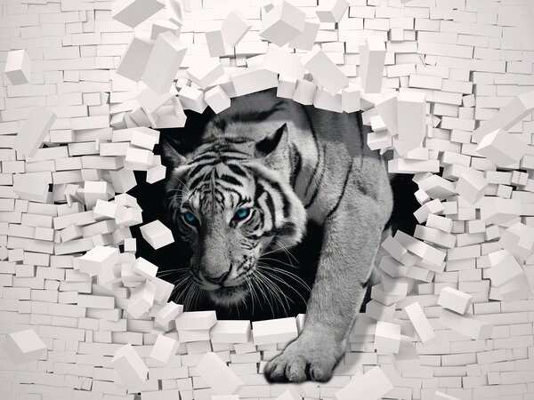Carta da parati Tigre che esce da un muro, Carta da parati animali, Carta da parati popolare, u53521 - Tapeko.it