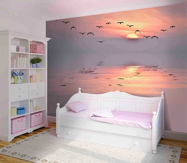 Carta da parati Gabbiani al tramonto, Carta da parati Mare, u53413 : Uwalls.it