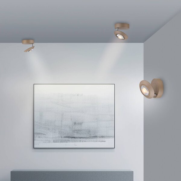 PURE Plafoniera a LED Oculis, dimmerabile, Bronzo / Ottone antico, Soggiorno / Sala da pranzo, Moderno, Plafoniera LED