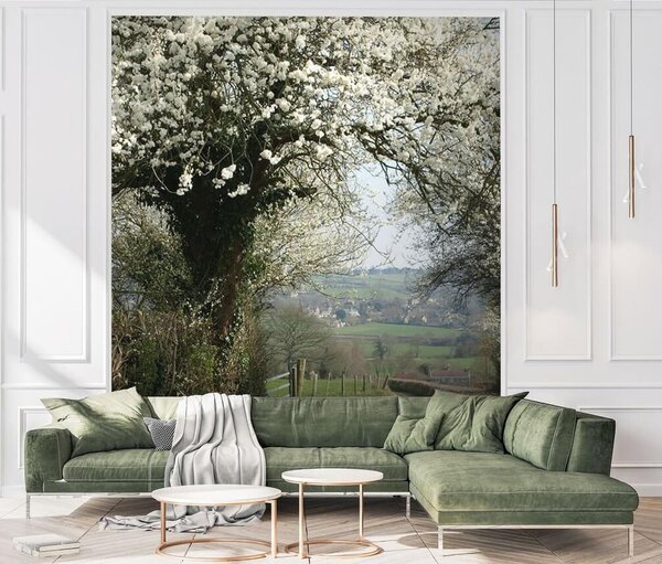Carta da parati Strada del villaggio, albero in fiore, Carta da parati Floreale, u55071 : Uwalls.it