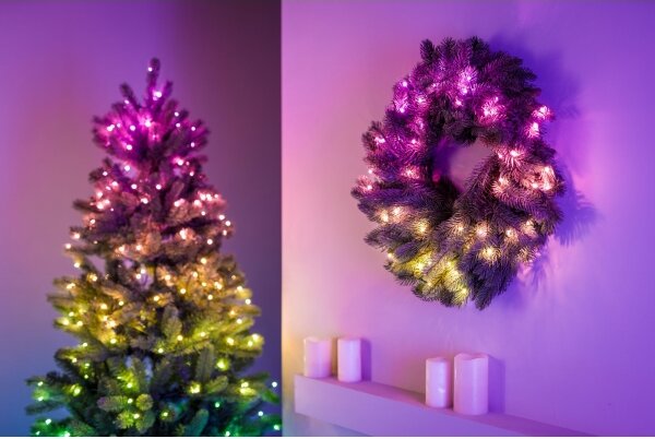 Twinkly GD20P4425P00 - LED RGB Dimmerabile Ghirlanda di Natale 50xLED diametro 60 cm Wi-Fi