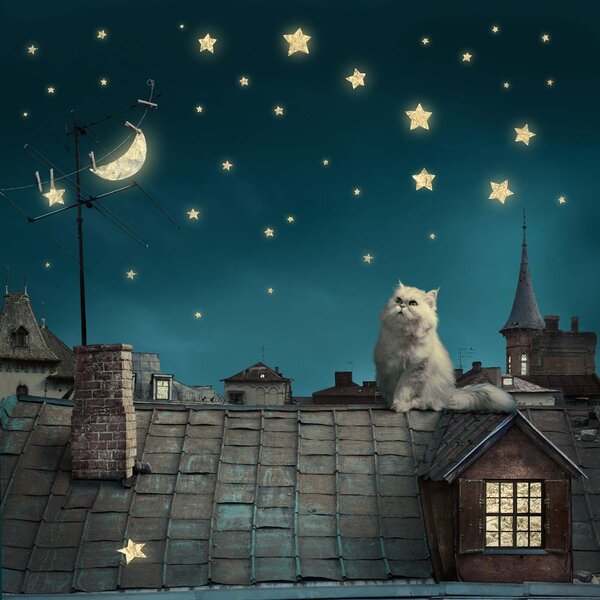 Carta da parati Gatto seduto su un tetto, Carta da parati per Bambini, Carta da parati popolare, u56556 - Tapeko.it