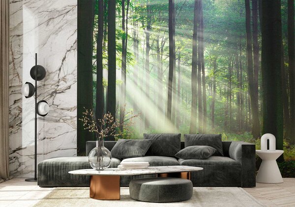 Carta da parati Raggi di sole nella foresta, Carta da parati Natura, u56787 : Uwalls.it