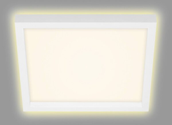 Briloner Plafoniera LED 7362, 29 x 29 cm, bianco