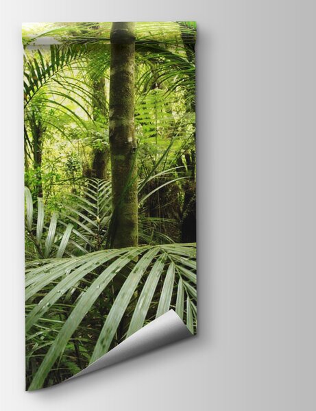 Carta da parati Foresta verde con palme, Carta da parati Giungla, Carta da parati popolare, u56916 - Tapeko.it