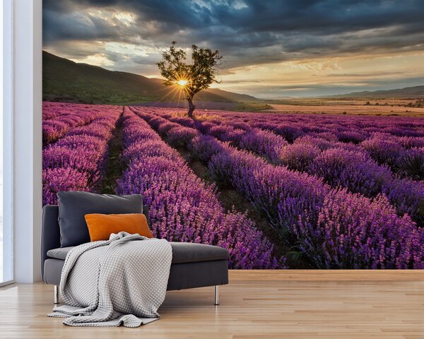 Carta da parati Albero in un campo di lavanda, Carta da parati Natura, Carta da parati popolare, u57229 - Tapeko.it