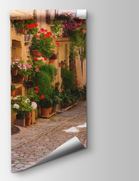 Carta da parati Strada con fiori ai lati, Carta da parati citta, Carta da parati popolare, u57180 - Tapeko.it