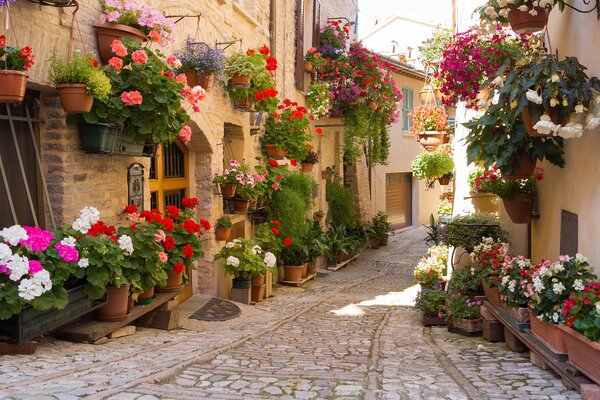 Carta da parati Strada con fiori ai lati, Carta da parati citta, Carta da parati popolare, u57180 - Tapeko.it