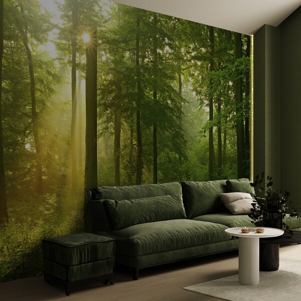 Carta da parati Silenzio nella foresta soleggiata, Carta da parati Natura, u57295 : Uwalls.it