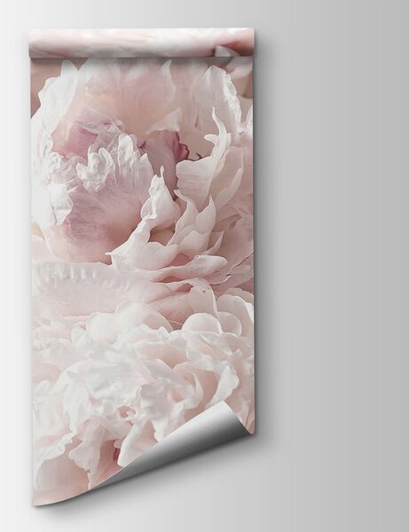 Carta da parati Gruppo di fiori rosa, Carta da parati Peonie, Carta da parati popolare, u59600 - Tapeko.it