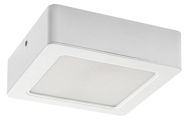 Rabalux 3174 - Plafoniera LED SHAUN LED/12W/230V 14,5 cm