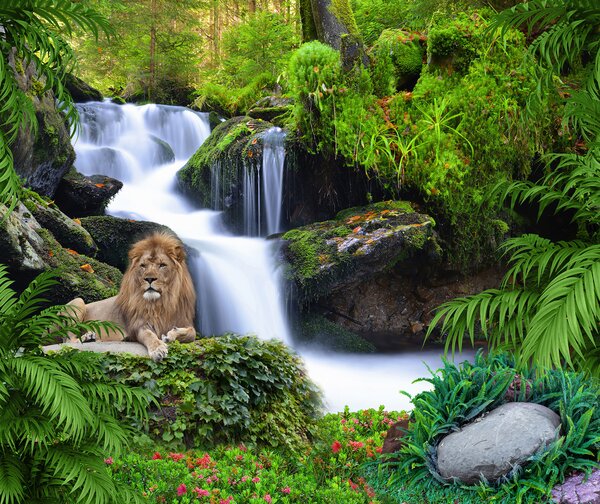 Carta da parati Leone sdraiato su una roccia accanto a una cascata, Carta da parati animali, Carta da parati popolare, u62920 - Tapeko.it