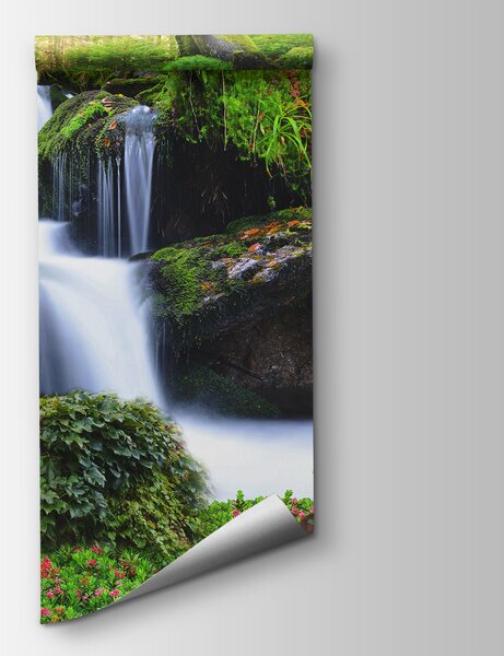 Carta da parati Leone sdraiato su una roccia accanto a una cascata, Carta da parati animali, Carta da parati popolare, u62920 - Tapeko.it
