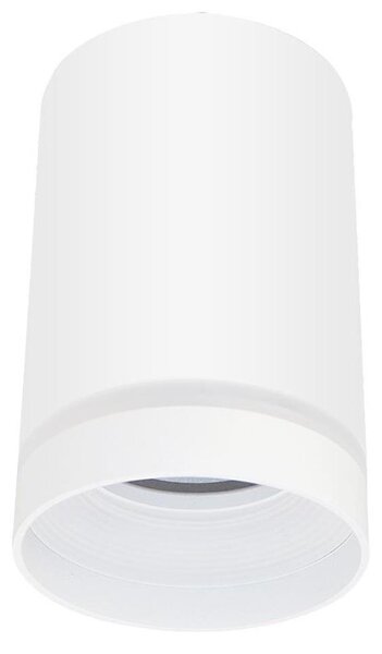 Luce Spot FABRI 1xGU10/10W/230V bianco