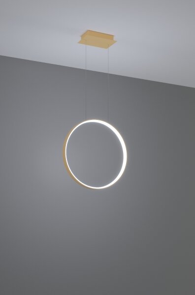 Thoro TH.221 - Lampadario LED a sospensione con filo RIO LED/30W/230V CRI95 4000K diametro 55 cm oro