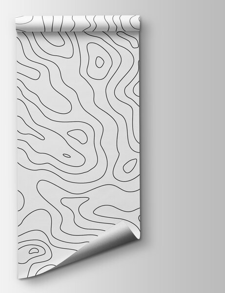 Carta da parati Linee di contorno in bianco e nero, Carta da parati mappe del mondo, Carta da parati popolare, u70650 - Tapeko.it
